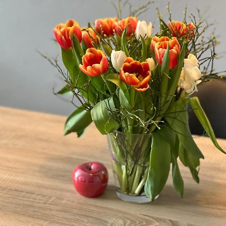 Hegau Boardinghouse Leilighet Singen Eksteriør bilde